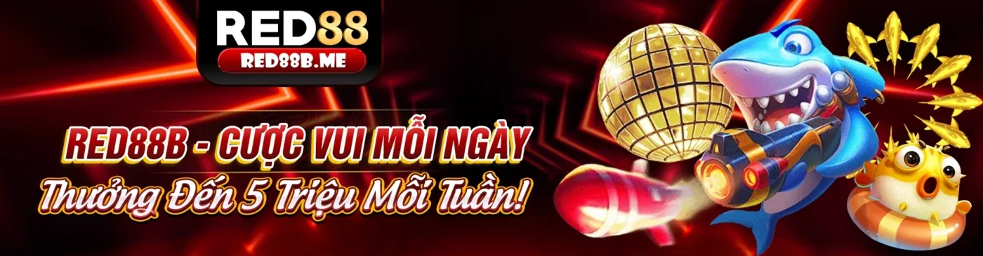 Tổng quan Điều khoản và Điều kiện